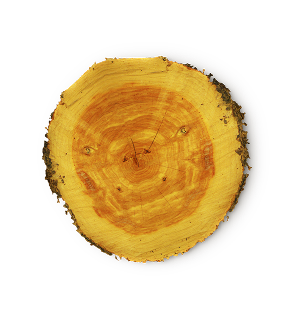 The Dew on Their Hems - US 9490