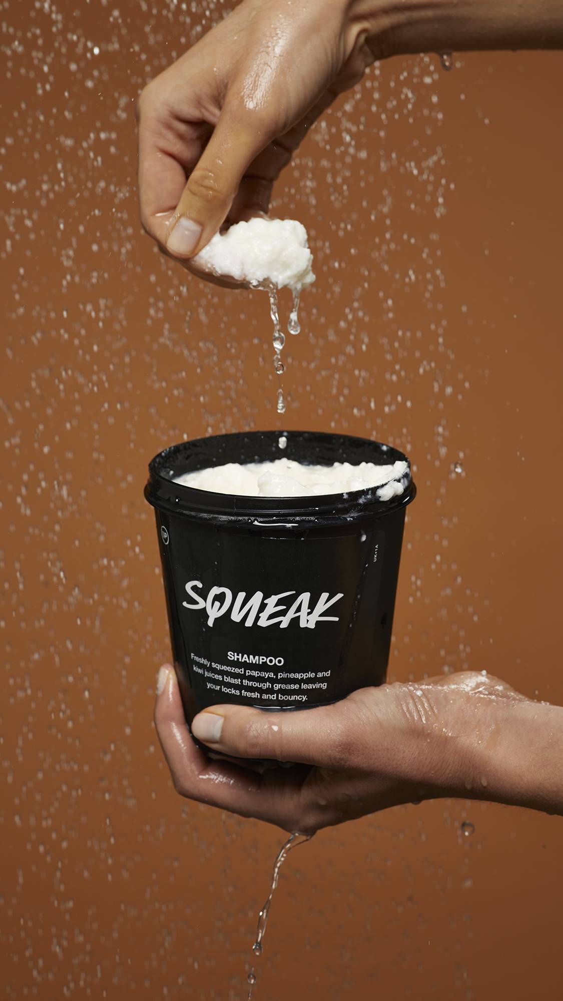 Squeak - US 4129